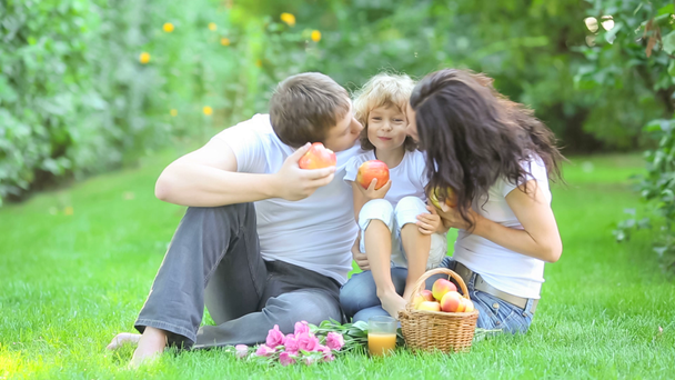 glückliche Familie beim Picknick im Frühlingspark - Filmmaterial, Video