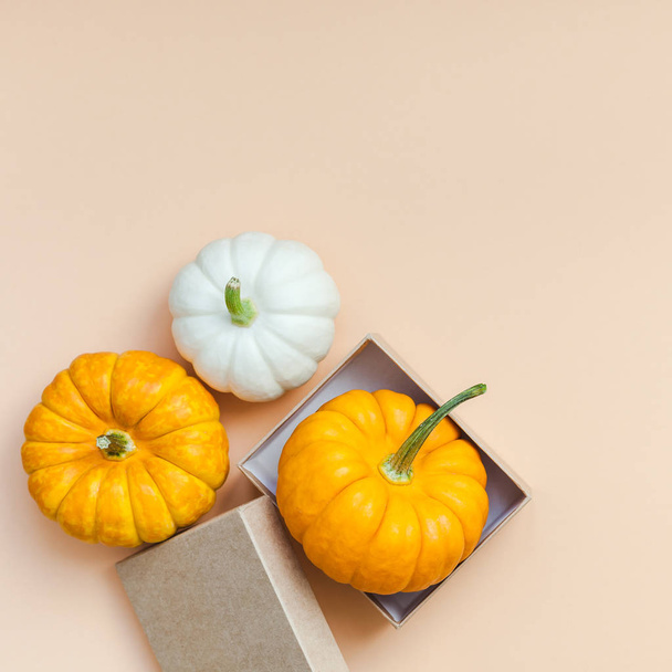 Creative Top view flat lay autumn composition. Frame concept pumpkins color paper background copy space. Square template fall harvest thanksgiving halloween anniversary invitation cards - Valokuva, kuva