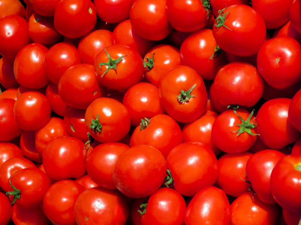 Fresh red tomatoes. - Photo, Image