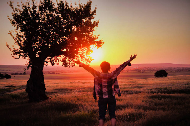 Onnellisuus auringonlaskun aikaan puun siluetin lähellä ihmiset, lomat
 - Valokuva, kuva
