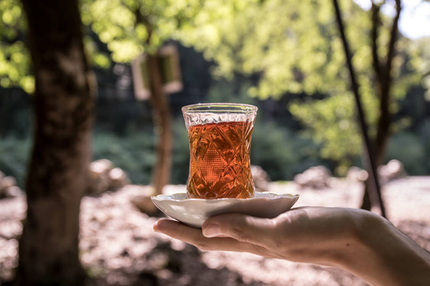 Восточный черный чай в стакане на руке женщины в лесу. Восточный чай. Традиционный кубок Армуду. Зеленый фон природы. Селективный фокус
 - Фото, изображение