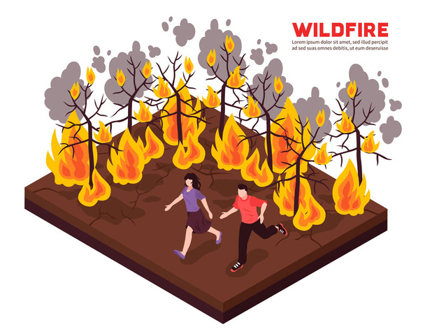 Ισομετρική εικονογράφηση Wildfire - Διάνυσμα, εικόνα