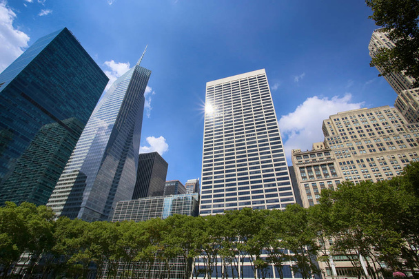 Bryant Park in Midtown Manhattan with office buildings as background, New York, USA - Foto, Imagem