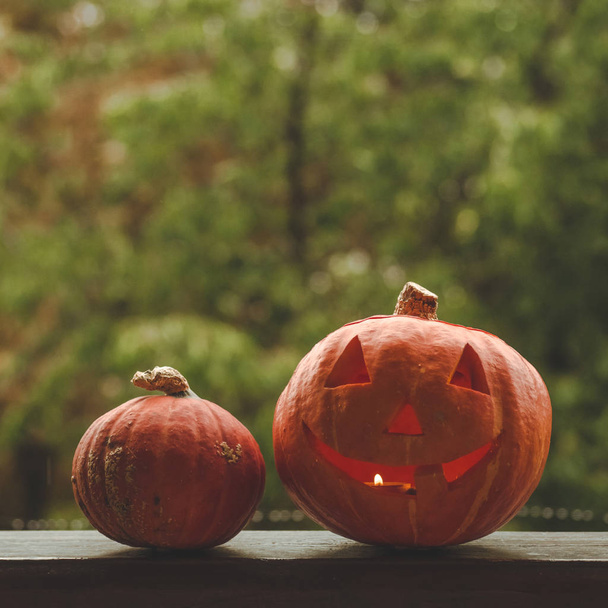背景の赤のチェック柄と居心地の良い窓枠にハロウィンかぼちゃ。かぼちゃが丸ごとと屋外の線香花火。楽しいハロウィンをお過ごし下さい！秋 - 写真・画像