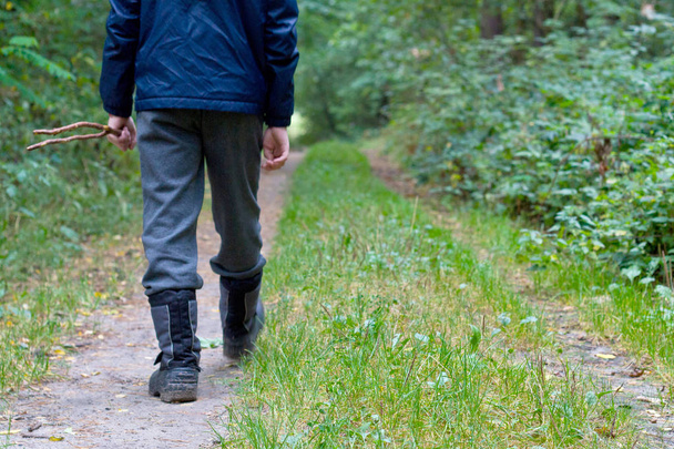 Осінній маленький хлопчик гуляє по дорозі в березовому лісі
 - Фото, зображення