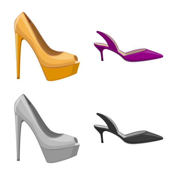 Isolated object of footwear and woman icon. Set of footwear and foot stock symbol for web. - Vector, Imagen