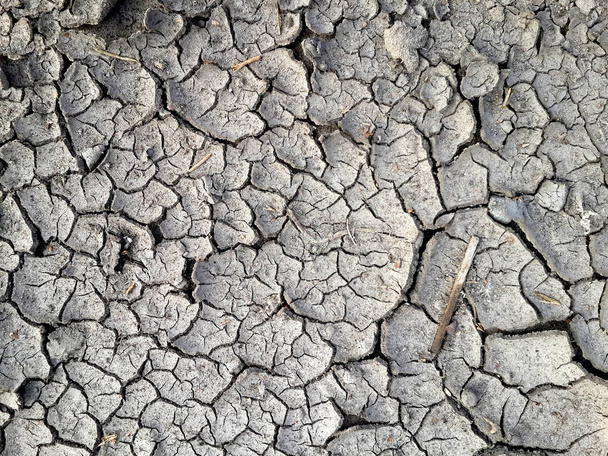 Overhead view of the patterns of a cracked dry grey earth. - Photo, Image