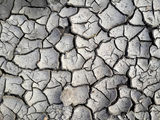 Visão geral dos padrões de uma terra cinzenta seca rachada
. - Foto, Imagem