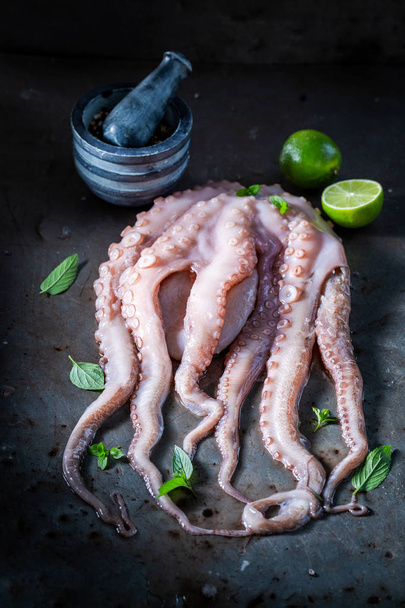 Freshly caught octopus with lime and mint leaves - Foto, Bild