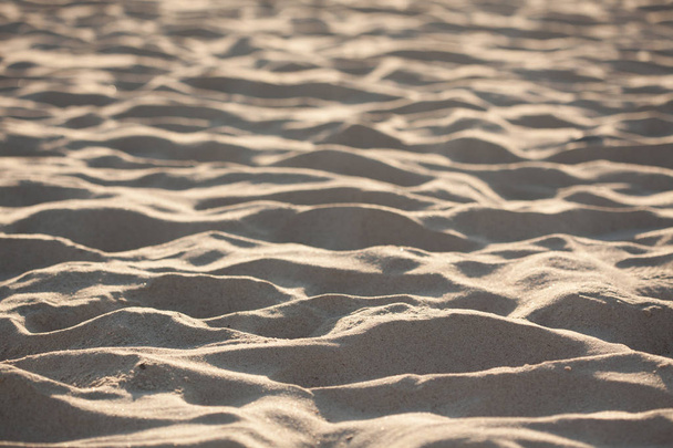 Closeup of sand dune on the coast of Baltic sea, Lithuania - Foto, Imagen