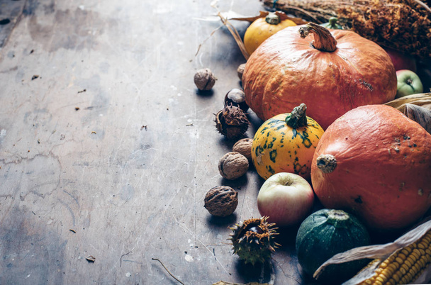 Thanksgiving still life with farm crops over wooden background. Traditional thanksgiving dinner concept with autumn pumpkin decoration. - Photo, Image