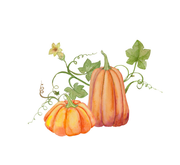 Orange pumpkins, Halloween, watercolor illustration, fruits and leaves. Drawing for printing on fabric, textile design, wallpaper, wrapping paper, linens, interior textiles - Фото, зображення