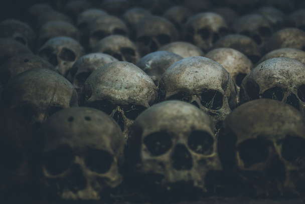 Colección de cráneos cubiertos de telaraña y polvo en las catacumbas. Filas de cráneos espeluznantes en la oscuridad. Concepto abstracto que simboliza la muerte, el terror y el mal
. - Foto, imagen