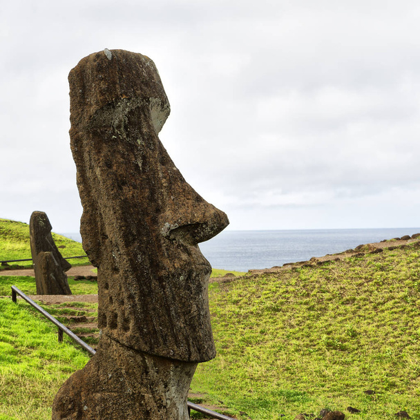 in chile rapa nui the antique and mysteriuos muai statue symbol of an  ancien cultur - Photo, Image