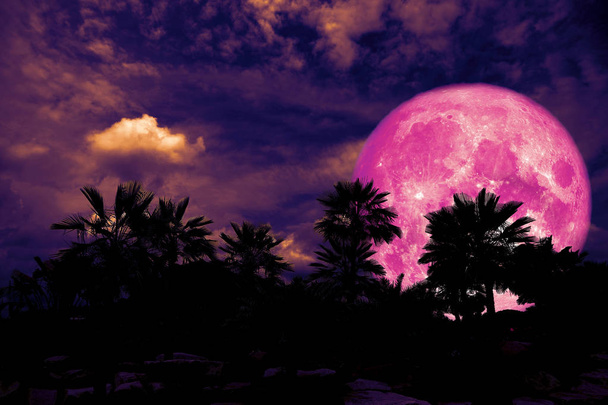 full pink moon back silhouette palm tree in dark night heap cloud, Elements of this image furnished by NASA - Photo, Image