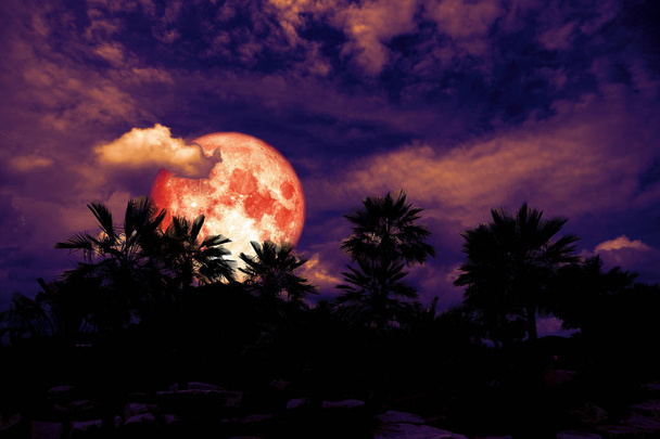 rode maan terug silhouet palmboom in donkere nacht heap wolk, elementen van dit beeld ingericht door Nasa - Foto, afbeelding