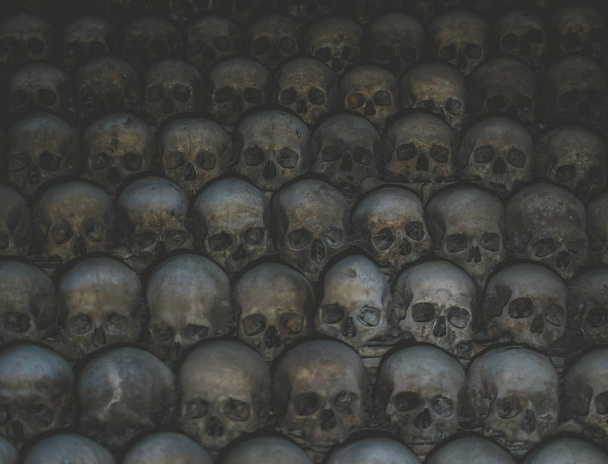 Collection of skulls covered with spider web and dust in the catacombs. Numerous creepy skulls in the dark. Abstract concept symbolizing death, terror, and evil. - Photo, Image