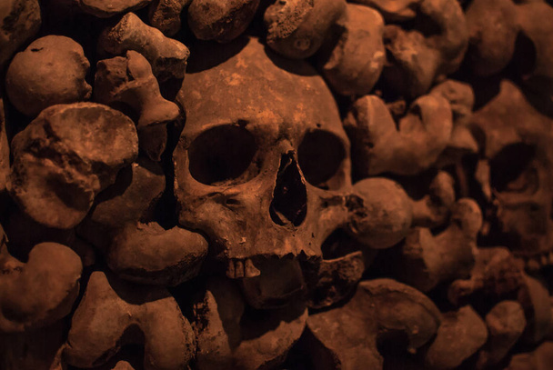 Colección de cráneos y huesos cubiertos de telaraña y polvo en las catacumbas. Numerosos cráneos espeluznantes en la oscuridad. Concepto abstracto que simboliza la muerte, el terror y el mal
. - Foto, imagen