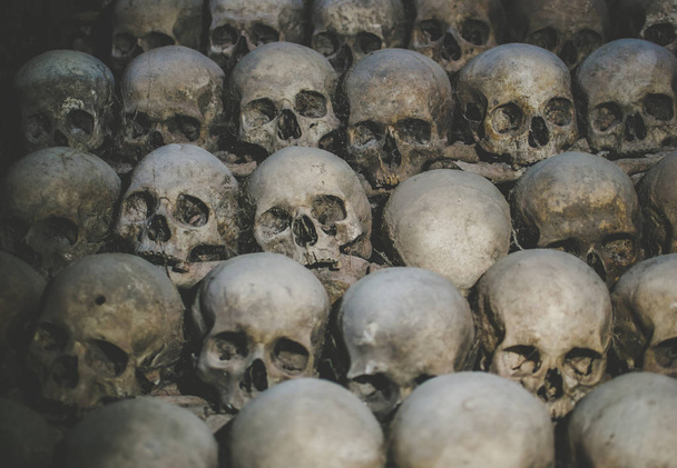 Collection of skulls covered with spider web and dust in the catacombs. Numerous creepy skulls in the dark. - Photo, Image