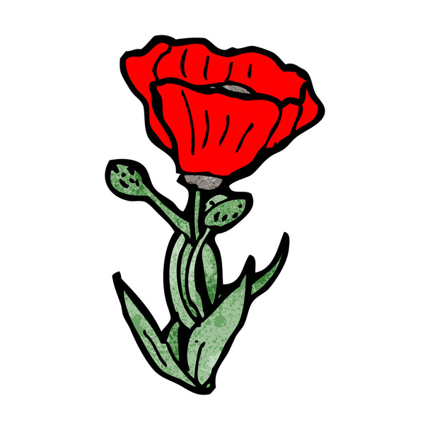Κόκκινο άνθος παπαρούνας - Διάνυσμα, εικόνα