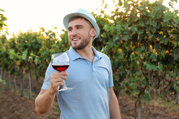 Young handsome man enjoying wine at vineyard - Zdjęcie, obraz