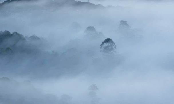 Туман покриває міський фон горами та світлом. Використання зображень для реклами, дизайну, маркетингу або обкладинки, шпалер
 - Фото, зображення