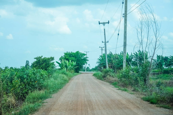 Camino de campo con árbol y poste eléctrico en Tailandia
 - Foto, imagen