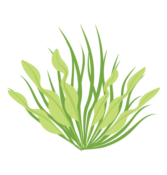 Flat icon design of diodogorgia nodulifera coral reef - Vetor, Imagem