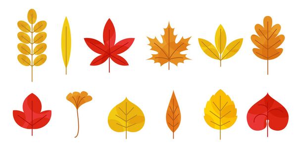 Set foglie autunnali - Vettoriali, immagini