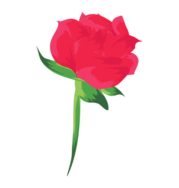 Red rose bud with green stem - Vector, Image