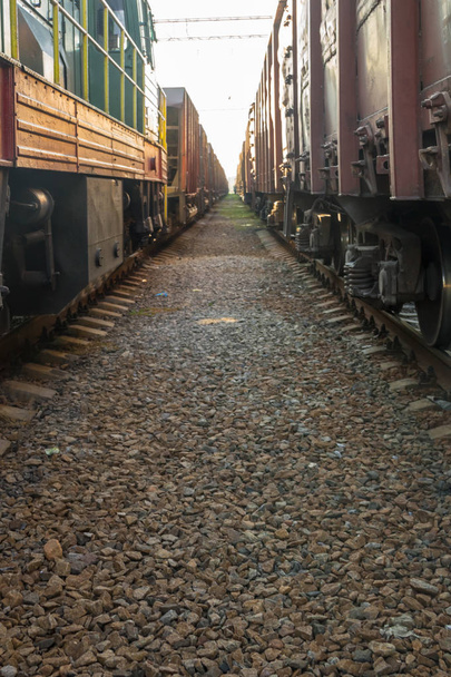 Pomiędzy dwoma pociągami towarowymi - Zdjęcie, obraz