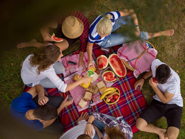 top view on group of young friends enjoying picnic time, drinks and food in beautiful nature in daylight - 写真・画像