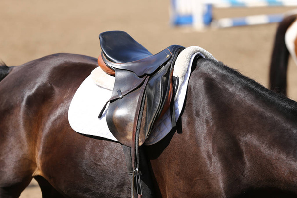 Спортивная лошадь во время соревнований под седлом на открытом воздухе
 - Фото, изображение