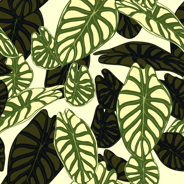Varrat nélküli trópusi mintát. Trendi háttér eső erdei növények. Vektor levél Alocasia. Kontyvirágfélék. Kézírásos dzsungel lombozat akvarell stílusú. Varrat nélküli egzotikus mintát textil, szövet. - Vektor, kép