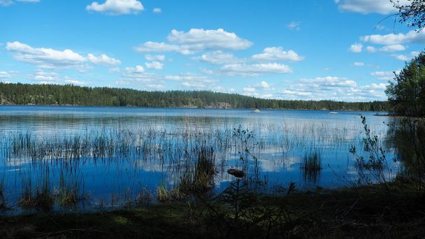 hermoso lakescape finlandés en verano
 - Foto, Imagen