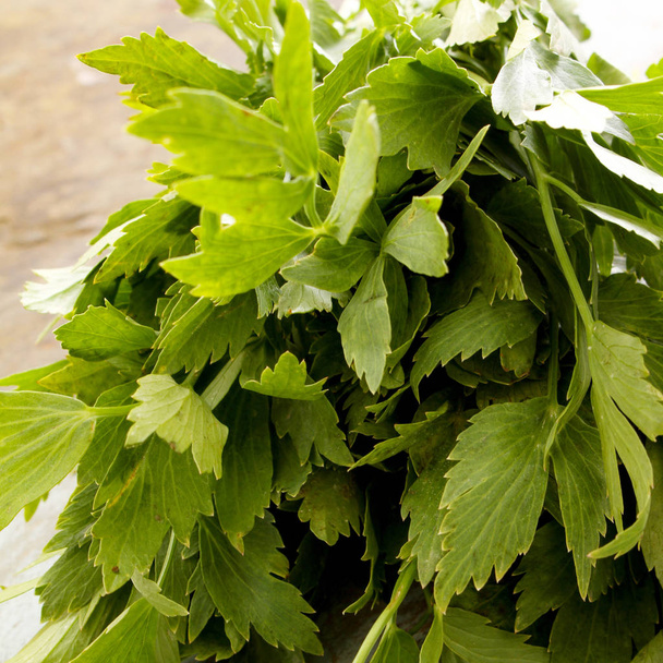 preparing healthy fresh parsley - Foto, Imagen