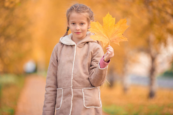 愛らしい女の子で美しい秋の日屋外 - 写真・画像