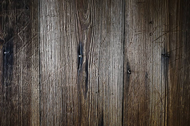 texture background old logs/abstract gray nature background; - Valokuva, kuva