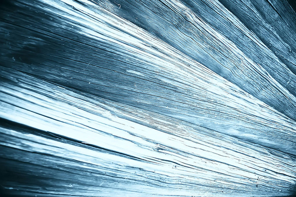texture old tree blue / abstract wood texture background - Φωτογραφία, εικόνα