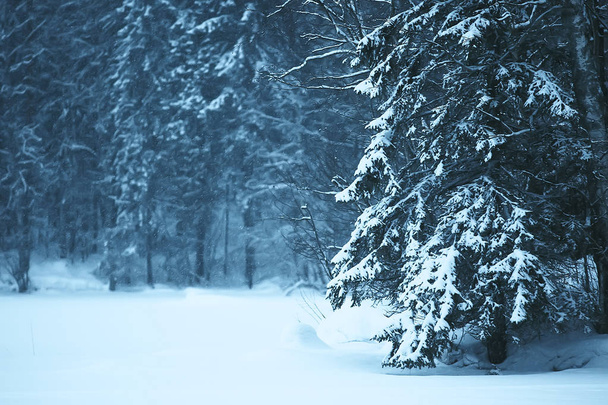 foggy winter landscape with snowfall and forest, cold seasonal weather - Photo, image