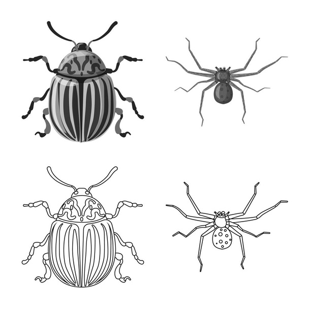 isolierte Objekt von Insekten und Fliegen Zeichen. Set von Insekten- und Elementvektorsymbolen für Aktien. - Vektor, Bild