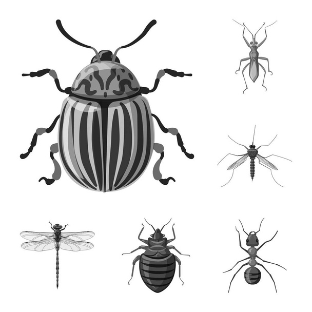 Vectorillustratie van insecten en vliegen teken. Collectie van insect en element aandelensymbool voor web. - Vector, afbeelding