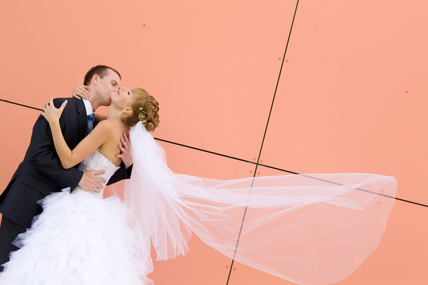 kiss of bride and groom - Foto, imagen