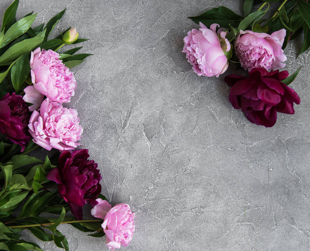 a kő háttér gyönyörű rózsaszín bazsarózsa virágok - Fotó, kép