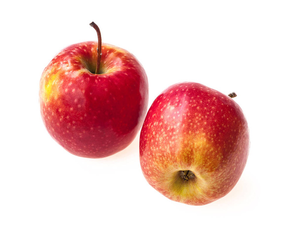 two whole red apples isolated - Photo, Image