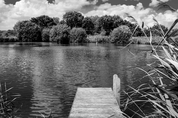 穏やかな湖、背景に木、晴れた日の雲と湖、黒と白の写真を周囲の草を水泳に突き出たまま木のフィート桟橋 - 写真・画像