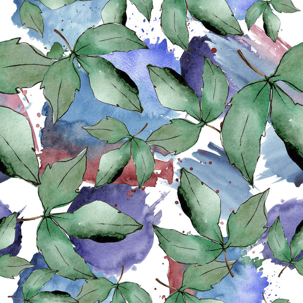 Green maple leaves. Leaf plant botanical garden floral foliage. Seamless background pattern. Fabric wallpaper print texture. Aquarelle leaf for background, texture, wrapper pattern, frame or border. - 写真・画像