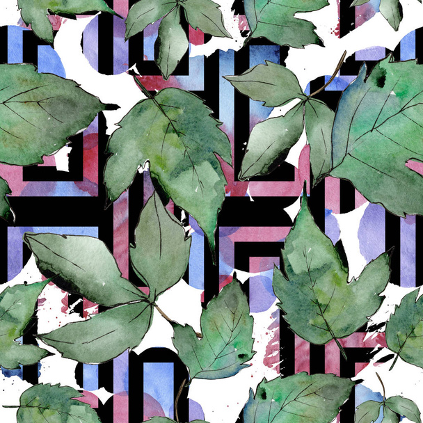 緑のカエデを葉します。葉植物植物園花葉。シームレスな背景パターン。壁紙印刷手触りの生地。背景、テクスチャ、ラッパー パターン、フレームや境界線の aquarelle 葉. - 写真・画像