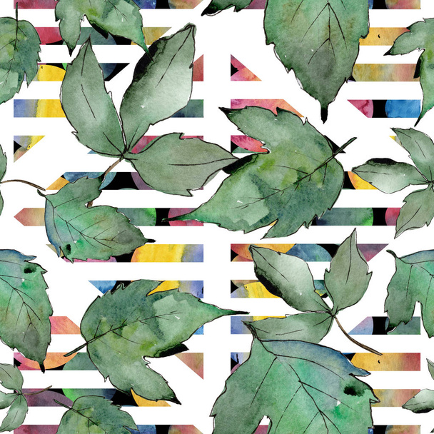 Green maple leaves. Leaf plant botanical garden floral foliage. Seamless background pattern. Fabric wallpaper print texture. Aquarelle leaf for background, texture, wrapper pattern, frame or border. - Foto, Imagen