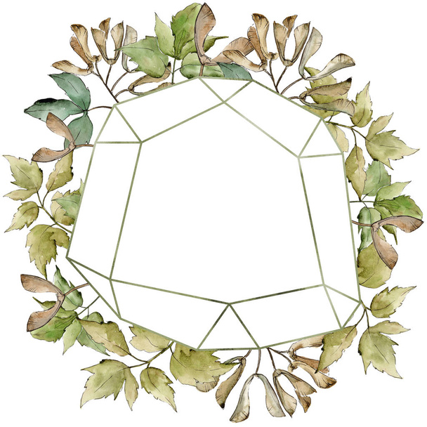 Green maple leaves. Leaf plant botanical garden floral foliage. Frame border ornament square. Aquarelle leaf for background, texture, wrapper pattern, frame or border. - Photo, Image